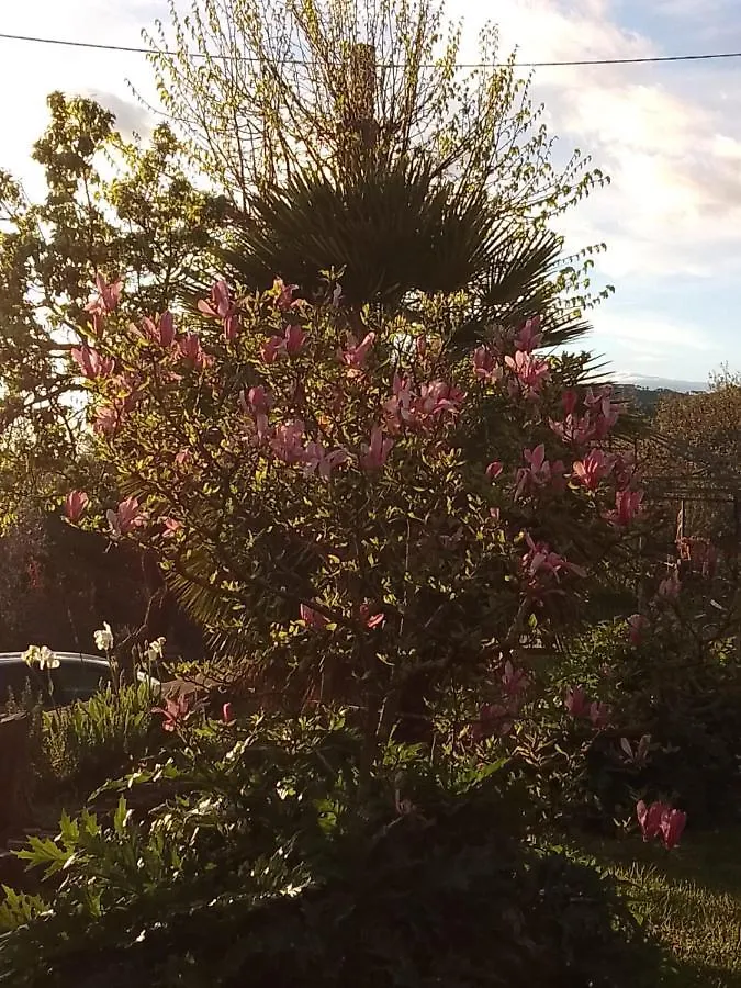 Appartamento Magnolia Cortona 0*,  Italia