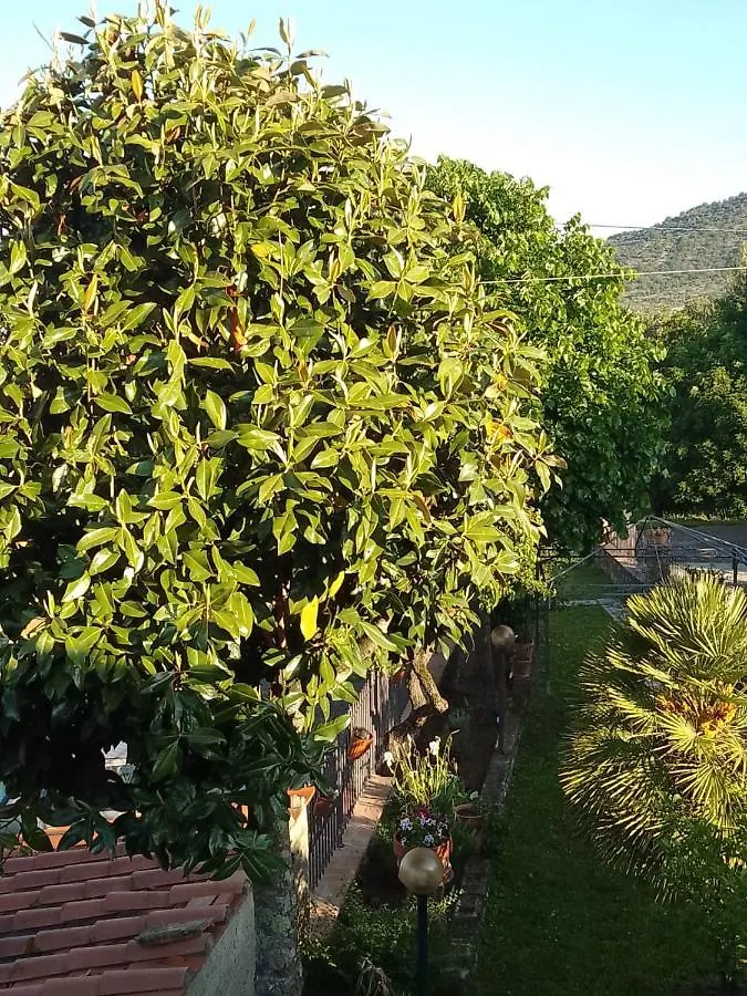 Appartamento Magnolia Cortona 0*,  Italia