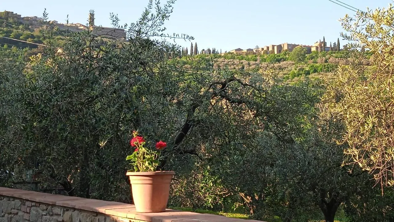 Appartamento Magnolia Cortona