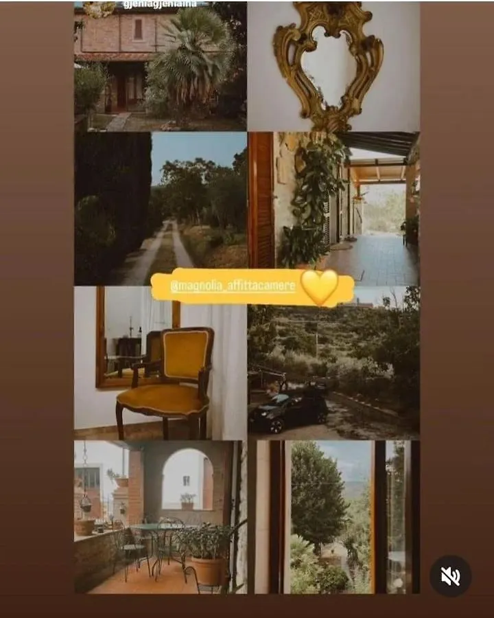 Magnolia Apartment Cortona